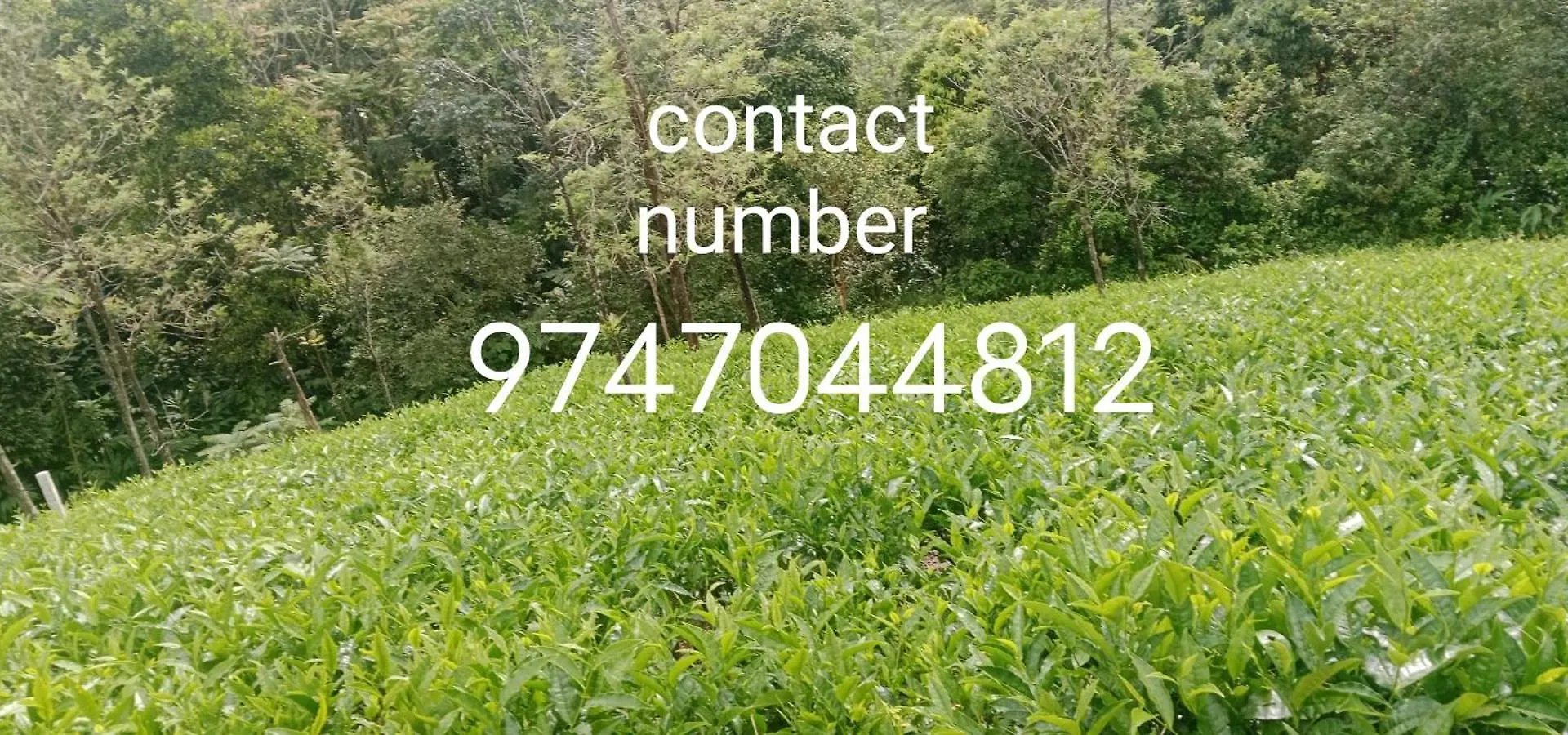 M R Holidays Vagamon India