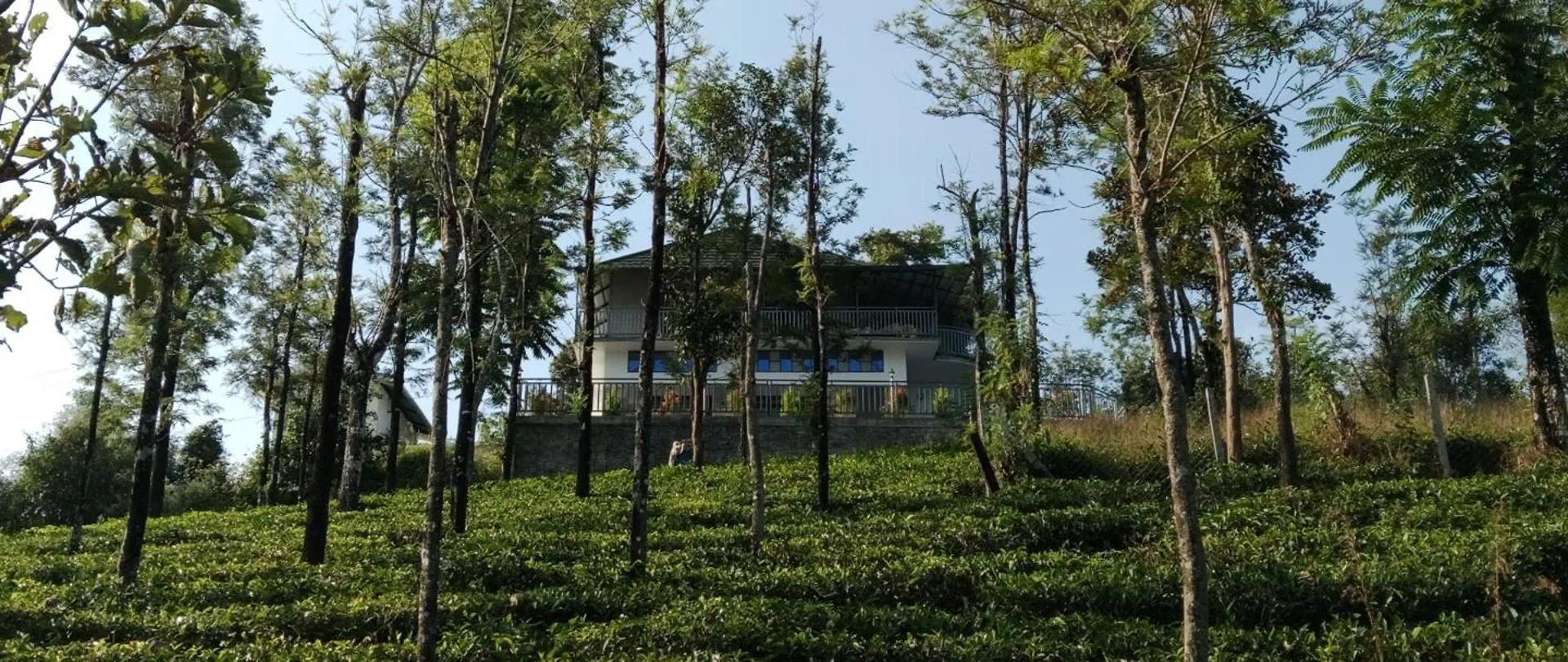 M R Holidays Vagamon
